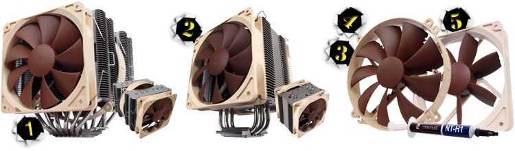 concours noctua