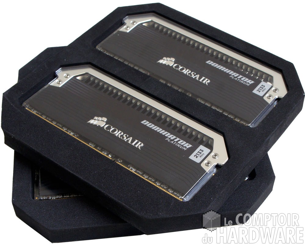 Bundle Dominator Platinum