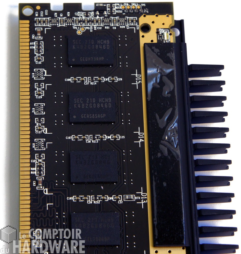 Les puces... ça gratte!