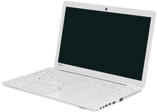 toshiba_l50a173.jpg