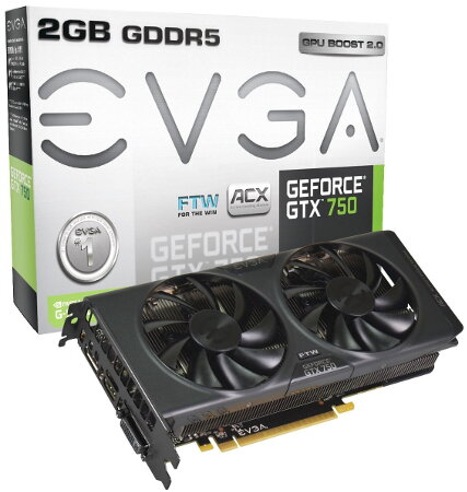 EVGA GTX 750 FTW