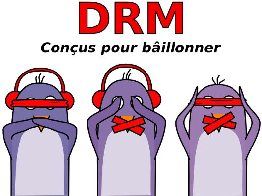 Les DRM c'est mal, m'voyez