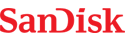 sandisk 40