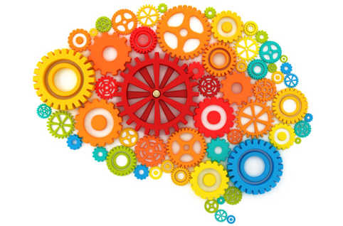 cerveau_rouages.jpg