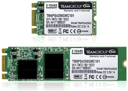 Team Group TM4PS4 et TM8PS4