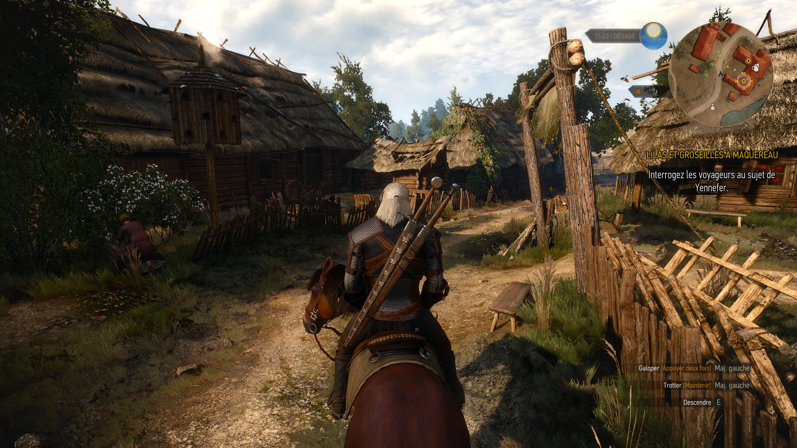 visuel The Witcher III Wild Hunt