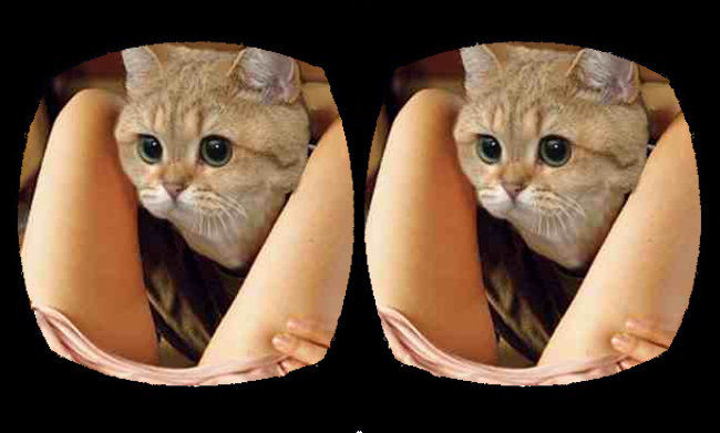vr cat porn