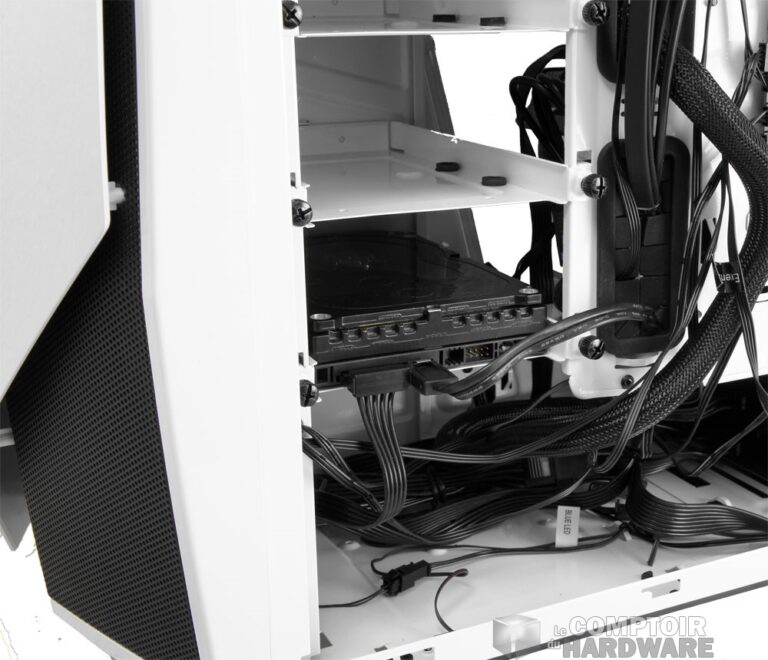 Le Raptor X prêt à shaker son body !