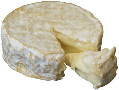 camembert