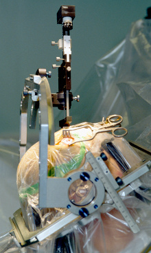 CC BY-SA 3.0, https://commons.wikimedia.org/w/index.php?curid=180597