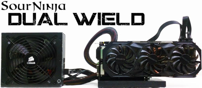 sourninja dual wield