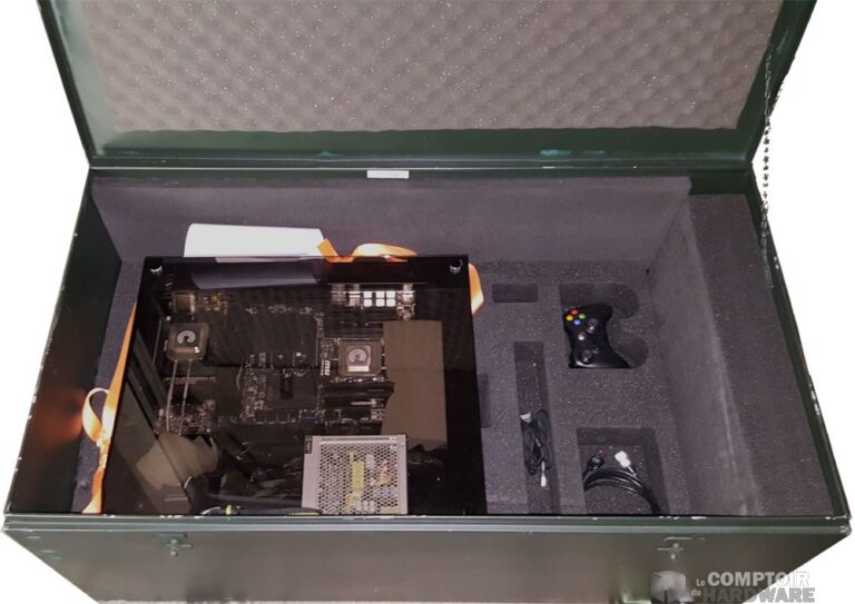 Sous le premier étage de mousse, la bête