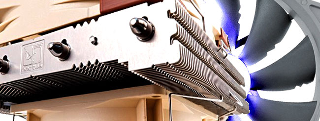 concours noctua novembre 2016 sur le comptoir