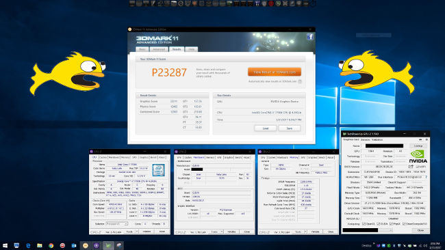 clevo 1080ti poisson avril