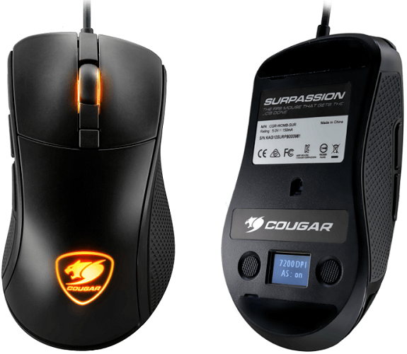 cougar surpassion top back