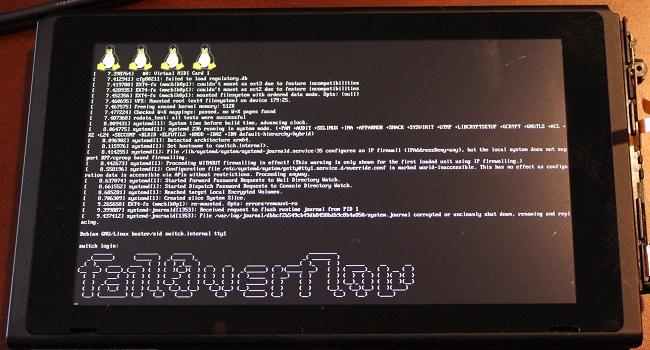 linux nintendo switch