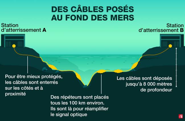 fonds marins infographie