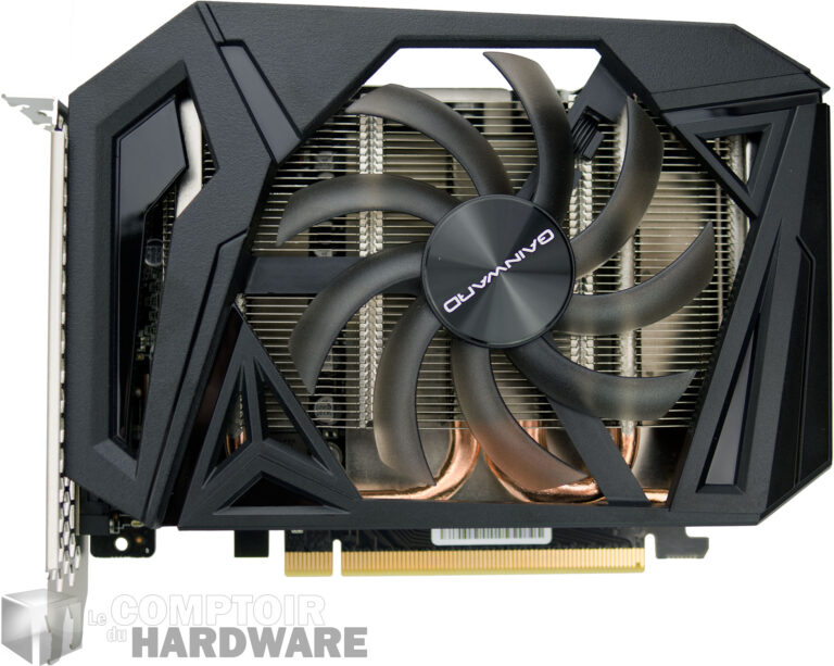 Gainward GTX 1660 Pegasus : face avant