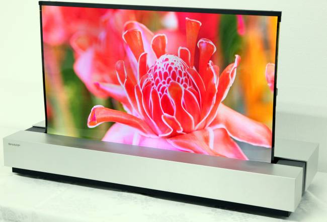 sharp nhk ecran oled enroulable 1
