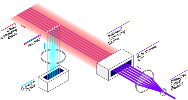 quantum 11qubits nature