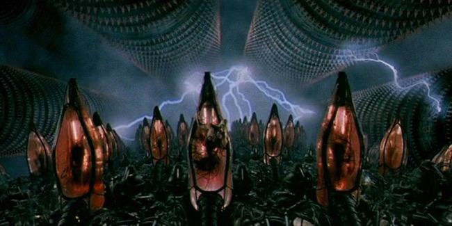 matrix culture humains