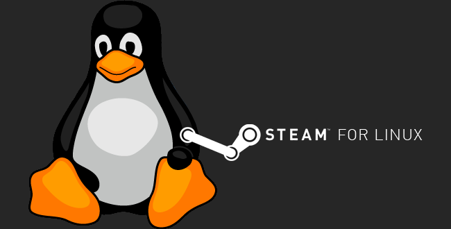steam linux