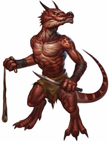 kobold