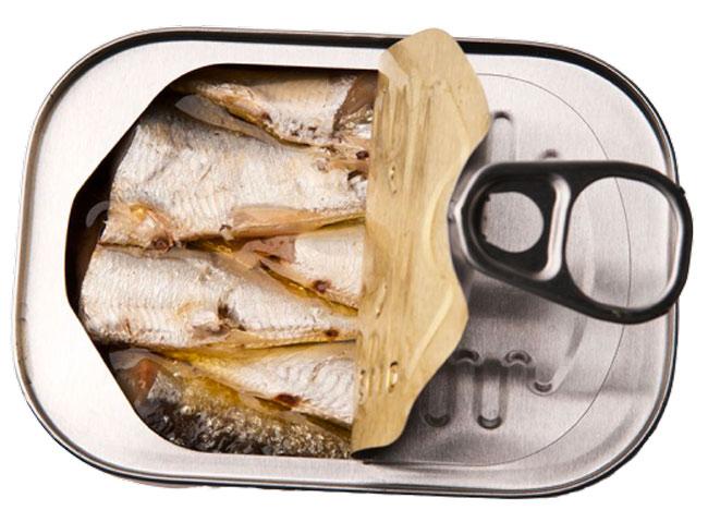 sardines