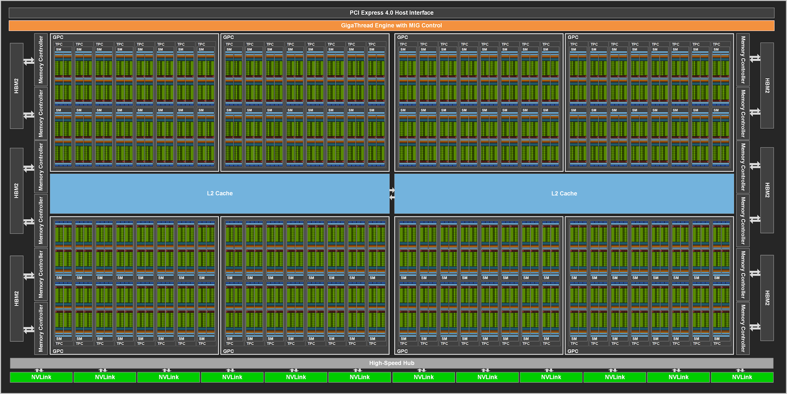 Une puce de taille !