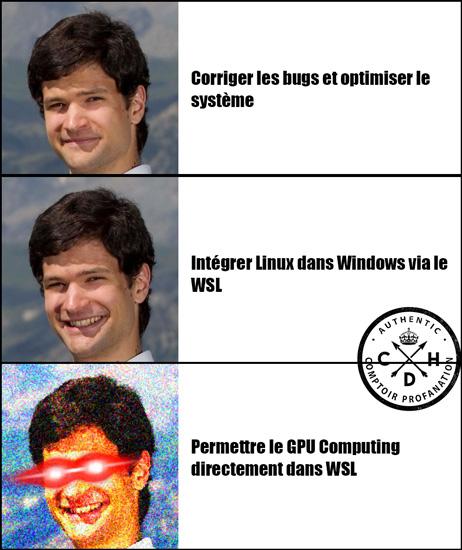 troll nico insider wsl