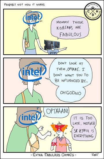 intel memory sk hynis cdh