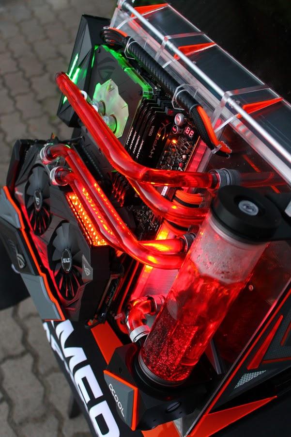 De haut, on voit mieux les oiseaux !