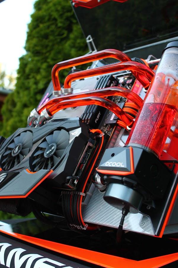 Les jouli tutubes de watercoulinge