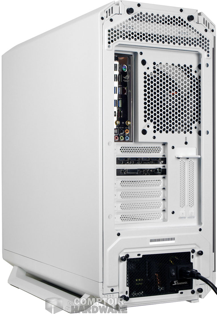 Vu de dos, parce que tout le monde à un arrière train !