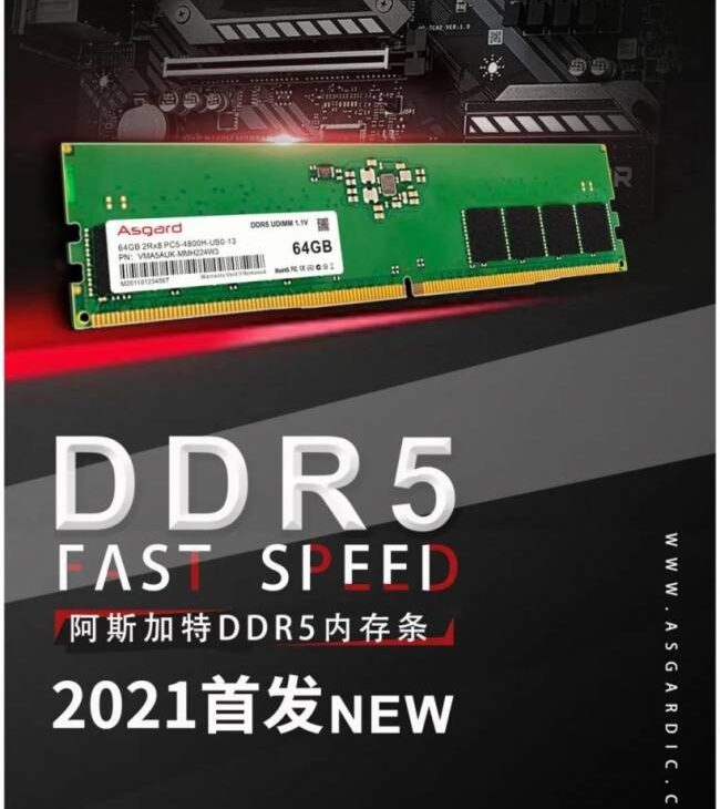 asgard ddr5