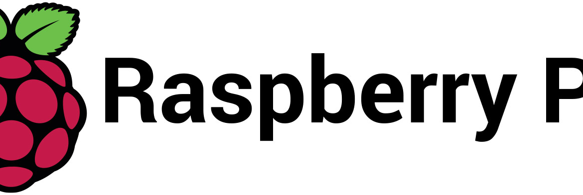 raspberry pi logo