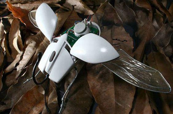 Souris fait brrrrr !