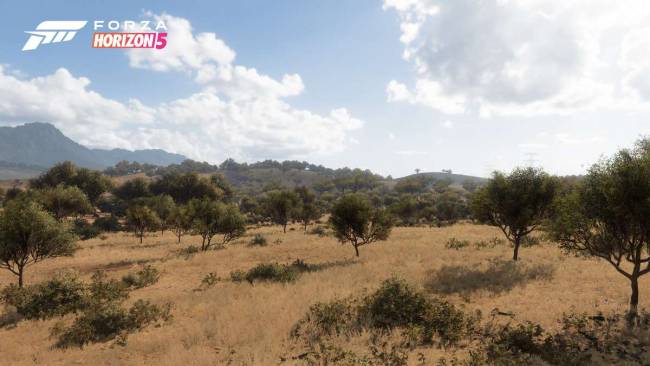 forza horizon5 arid
