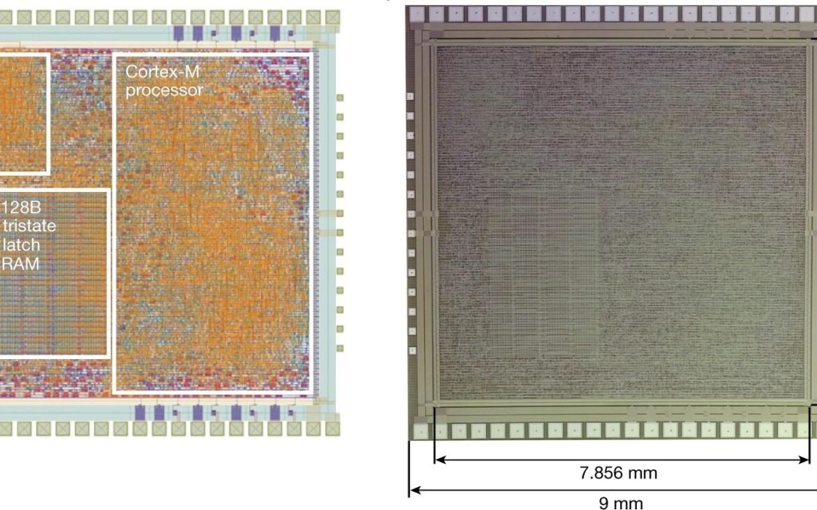 Structure logique et micrographe du die du PlasticARM