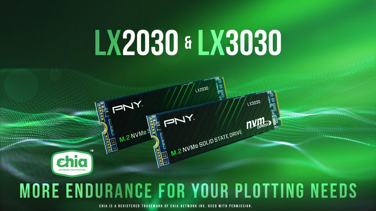 pny ssd serie lx 2030 3030 chia plotting