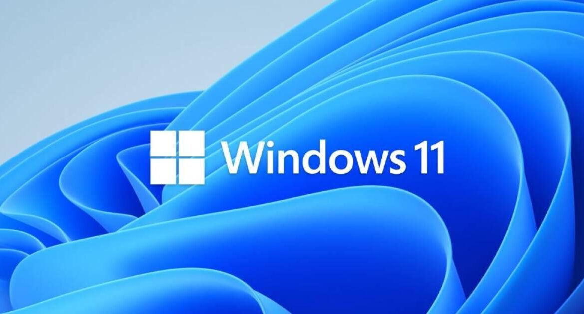 windows 11 wallpaper