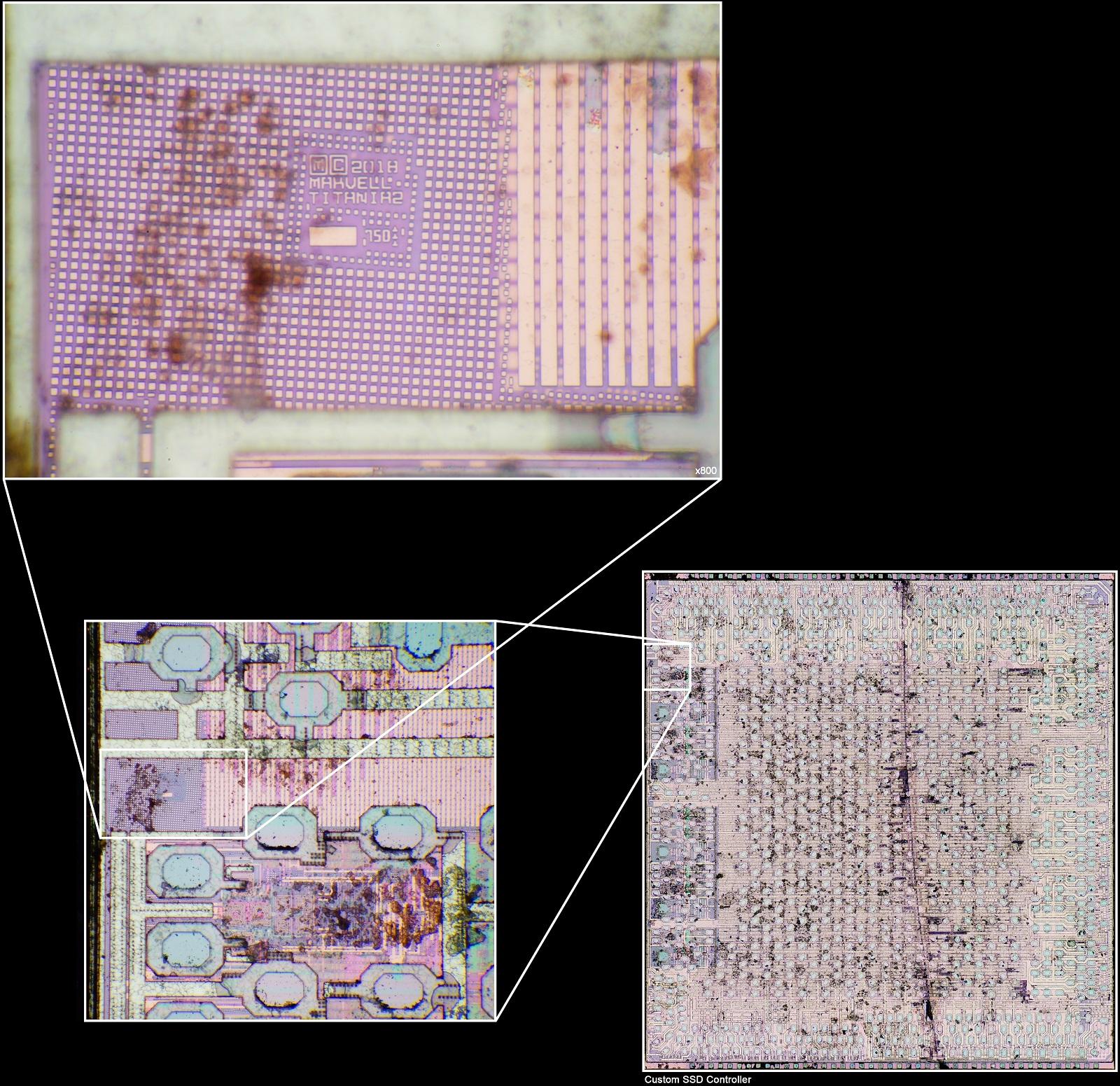 Et le gros plan sur le marquage !