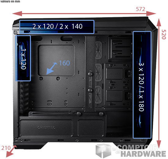 stallion 3 dimensions