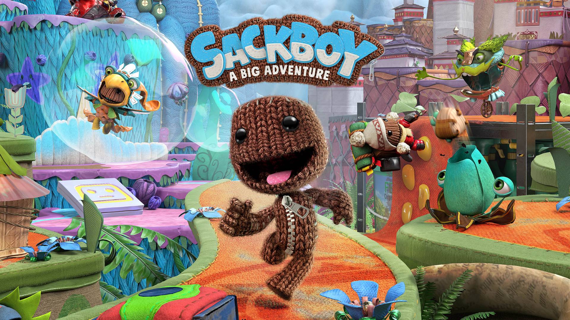 sackboy