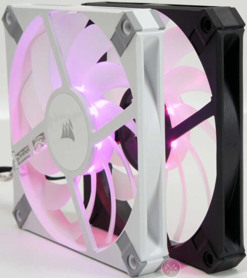 La tranche fine des nouveaux venus