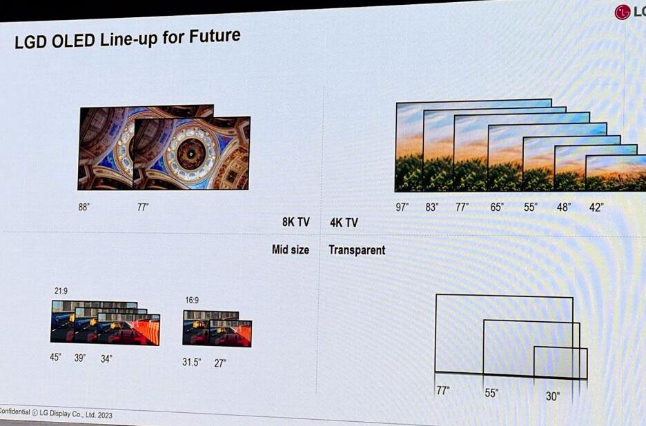 oled panel lg roadmap 2024 2025