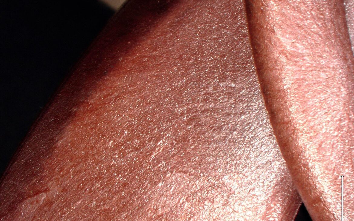 hardware porn : le polymère