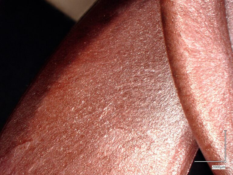 hardware porn : le polymère 